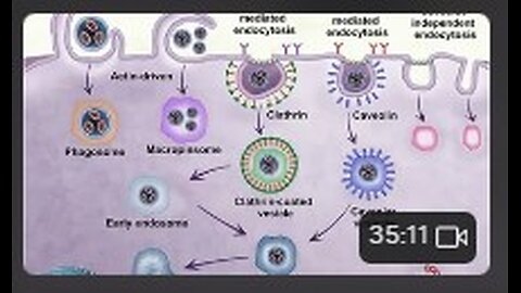 Your Cells are the chip 2-2