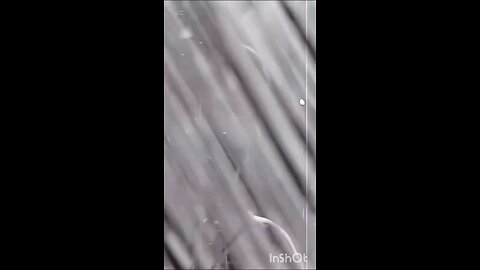 Tera Mera Pyar Amar