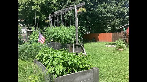 Garden Therapy - July 21, 2025 🇺🇸