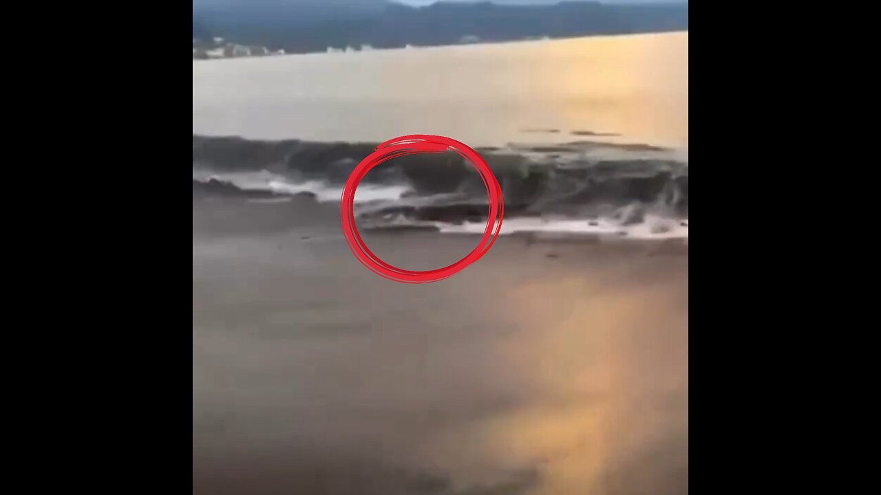 La ola no es el único peligro: este cocodrilo casi muerde a un joven