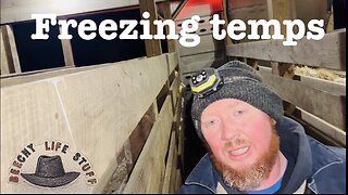 NOSE FROZE SHUT Loading Cows at 3°! ❄️🐄 Burger Buggy Midnight Run