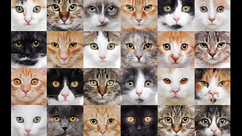 The Frenchman starts 2026!(Lazuli; Myrath; Supertramp; Andromeda; Persefone; Camel)(#532)