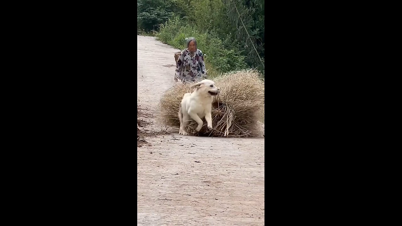 #LOYALITY#