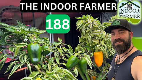 The Indoor Farmer ep 188, What To Do, What To Do.. Decisions Can Be Tough But That's Progress