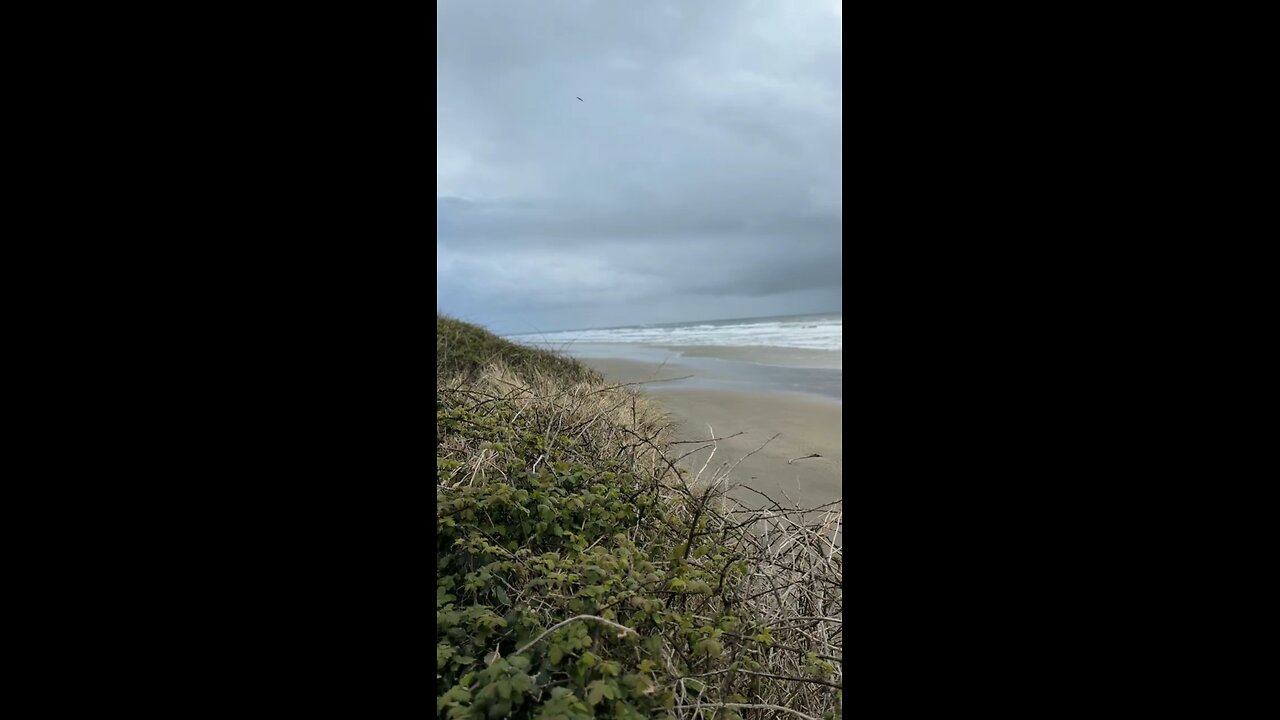Nye Beach Newport Oregon!