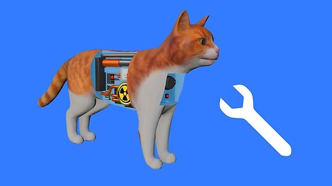 How to fix a cat