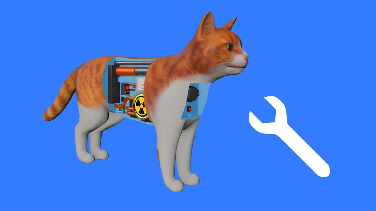 How to fix a cat