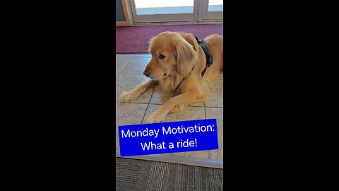 What a ride!