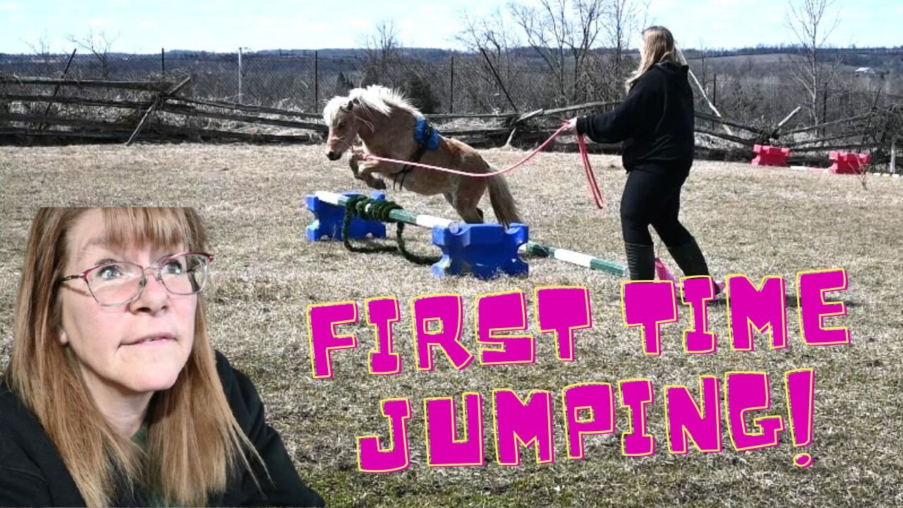 Our BABY Horse FIRST time JUMPING!