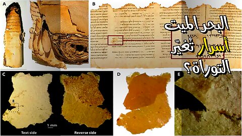 أسرار البحر الميت: هل تُغيّر التوراة؟ ️