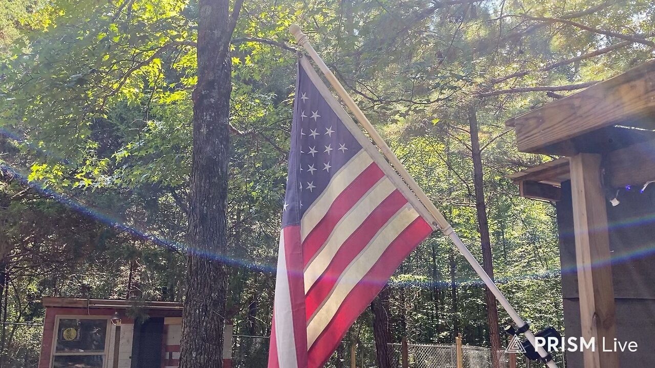 This weeks garden and puppies update…everything but the grass is grow’n….🤨 🤪 🐶 🥔🌽🍅🍉🍈🫛🥬🥒🌶️🧅