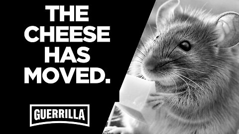 THE CHEESE HAS MOVED.