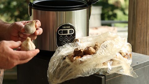 Make Black Garlic in 7 days?