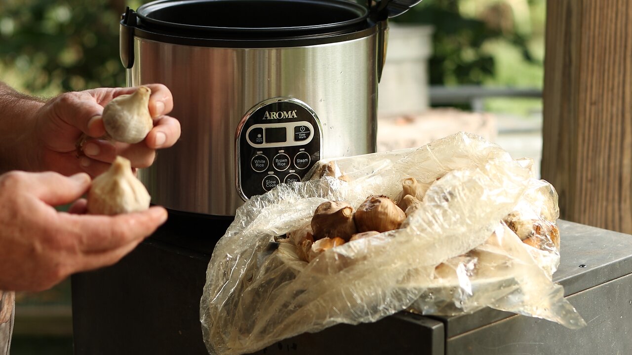 Make Black Garlic in 7 days?