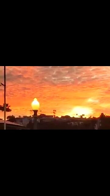 A SPECIAL PURPOSE - DAILY DEVOTIONAL ❤️