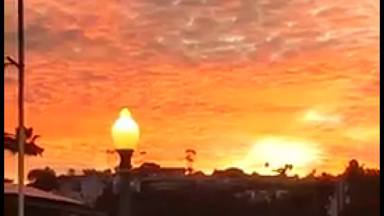 A SPECIAL PURPOSE - DAILY DEVOTIONAL ❤️