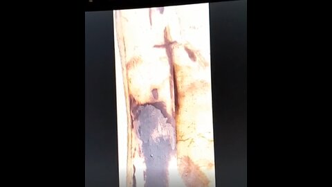 Charlie Kirk, Remembered for Courage & Faith