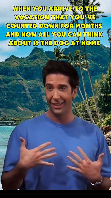 Funny memes everyday