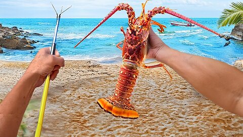 Catching My Food With A Spear