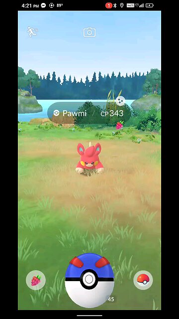 catching a shiny pokemon on community day