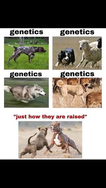 This is the Ipad generation. Groomed to be addicted.