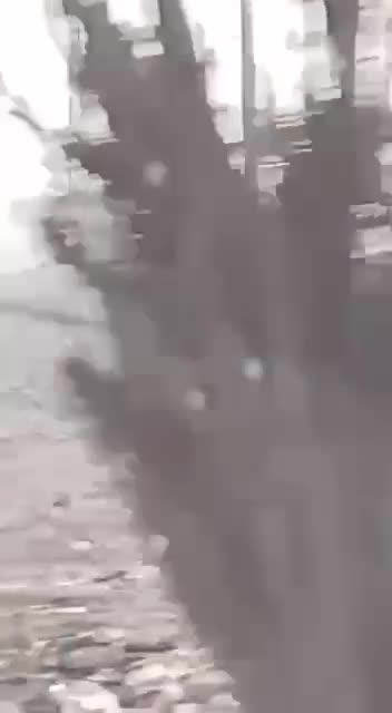 An israeli drone targeted a car on the road