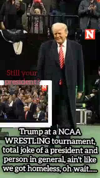 Donal Trump being a child watching college wrestling...