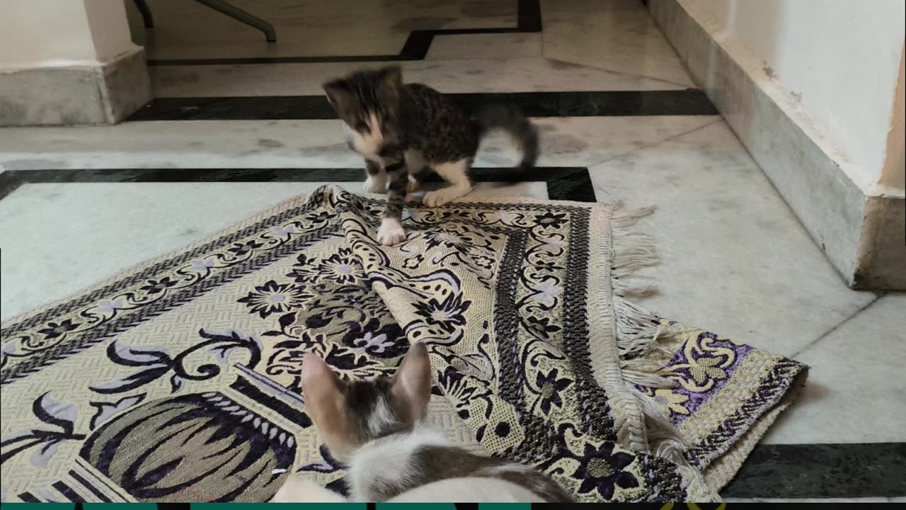 2nd Aug Wrench & Alt getting acclimatized with each other Part 5