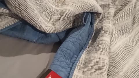 Audiobook recording, part 4 chapters 19-24