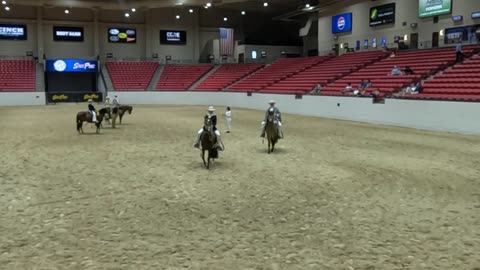 2025 Peruvian Horse Gold Rush Classic in Las Vegas: Heading for the stalls after a day's work