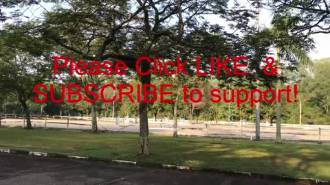 003 Beginning Posture.mp4