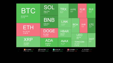 Live Coin Price Watch!