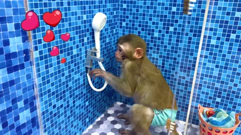 Monkey Baby Bon Bon 🐵🎥