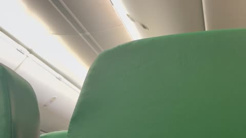 Flight Attendant Announces Plane Can't Land During Drone Incident In Brussels