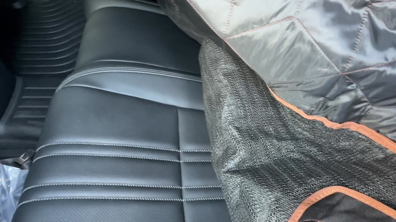 Petiza Full Review Dog Car Seat Cover