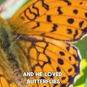 Israel Renames Butterfly in Memory of Ariel Bibas