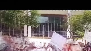 Footage of the 'no kings' protest in LA