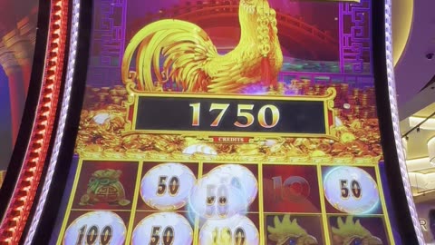 Lion Link Bonus 🦁🎰👍