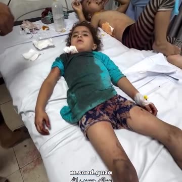 Palestinian Children Among the Martyrs and Wounded