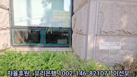 빨갱이 사냥 + 윤카 응원