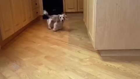 sceerrrrrch
