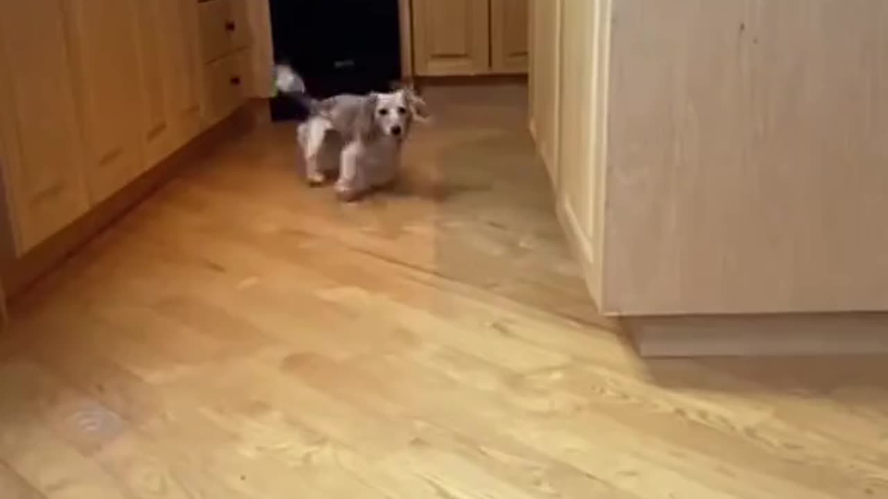 sceerrrrrch