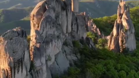 Dragon park Russia Nature 4K videos 🌐
