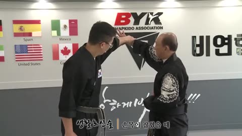 Hapkido Techniques & Forms
