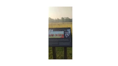 Shia video recorded 6:50 AM July 21, '25 by Alyssa Aztalan State Park Pyramids