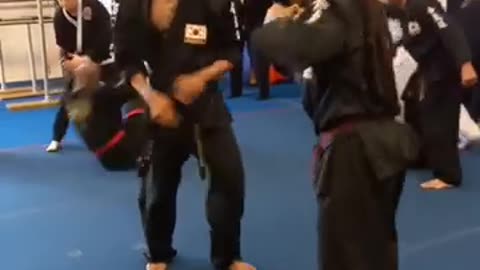 Hapkido