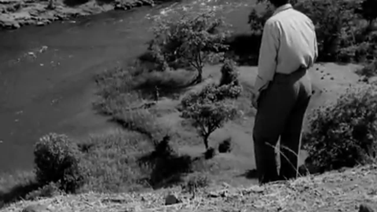 Ye dil aur unki nigahon ke saaye_