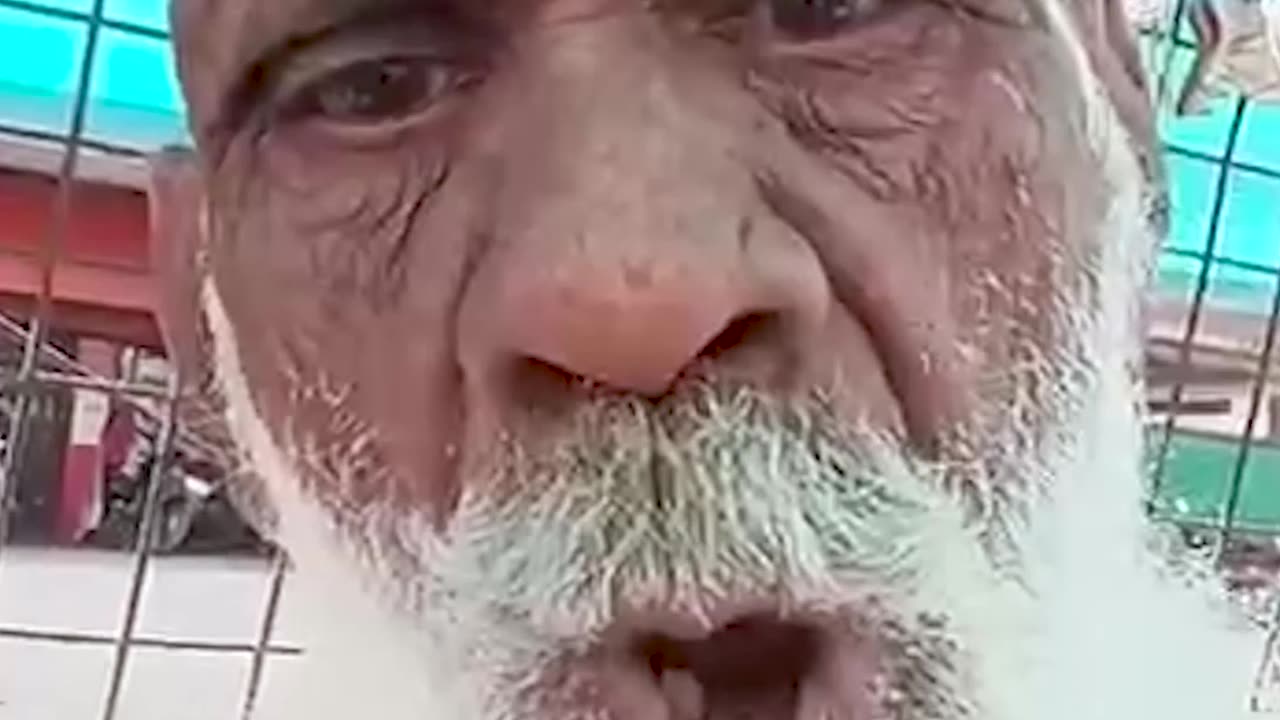 Epic Monkey vs Grandpa Sound Battle – Who Wins? 😂🐒