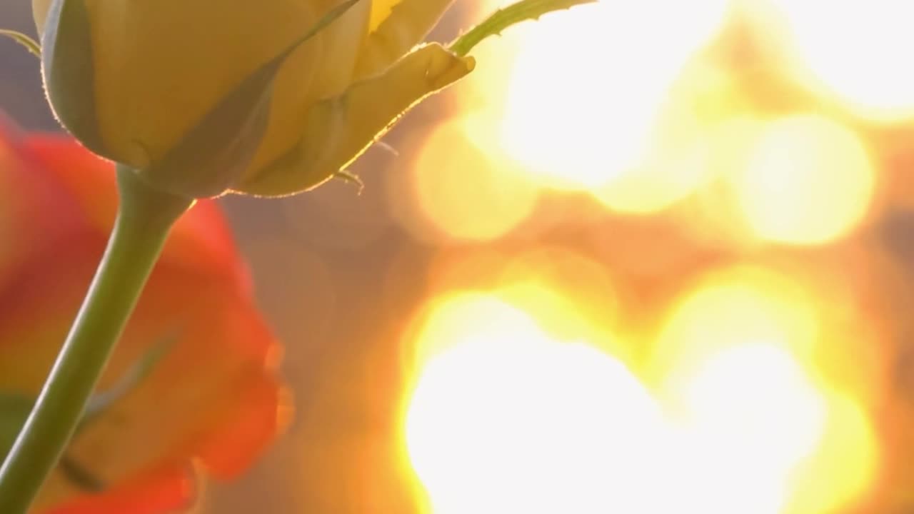 Stay only in the Truth