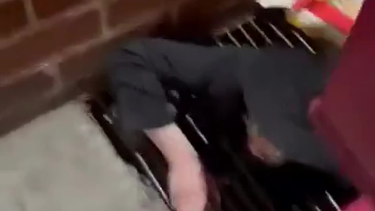 Giant Sewer Rat Fleeing the jew Tunnels in NYC - This is Not A.i.